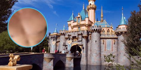 Disneyland Guest Solicits Drugs Sex At Parks