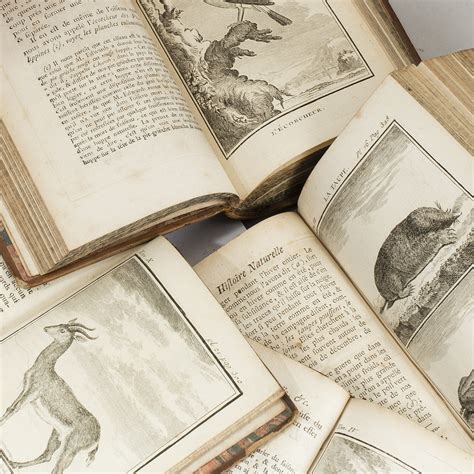 A set of 19 1700s books. - Bukowskis