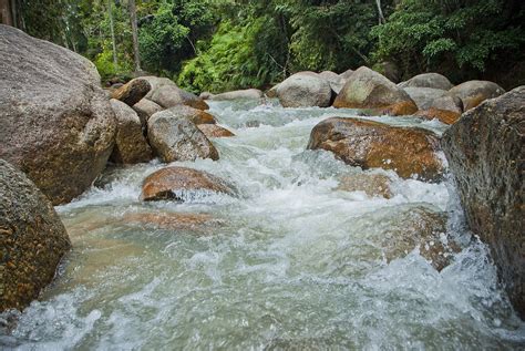 Ramsar Wetlands Of International Importance In Malaysia Worldatlas