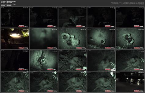 Girlfriend Amateur Couple VoyeurPapa