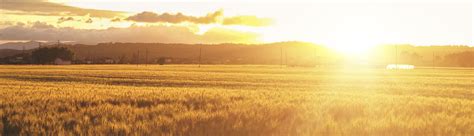 High Speed Satellite Internet Service | SkywayInternet.com