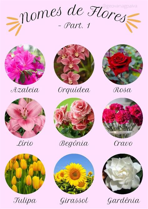 Nomes De Flor Para Meninas - Nomes de Flores | Flores e seus nomes, Nomes de flores, Nomes de flores ...