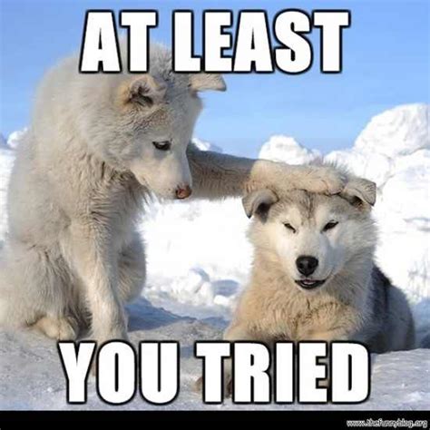 dont worry  failed meme  ppcrn memedroid