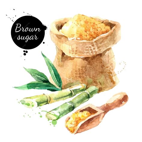 Premium Vector Hand Drawn Sketch Watercolor Natural Brown Cane Sugar
