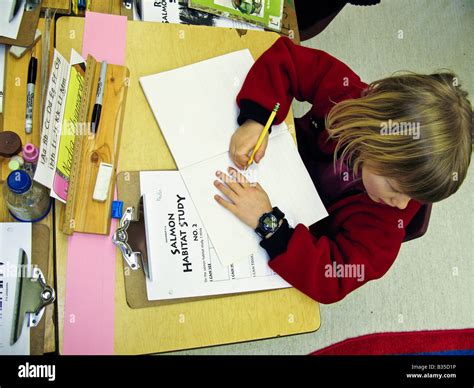 Grade One Salmon Release Program Bc Canada Stock Photo Alamy