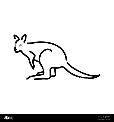 Wallabies Color Line Illustration Animals Of Australia Stock Vector