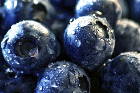 Fonya Gy M Lcs K Bogy K Ingyenes Fot A Pixabay En Blueberry