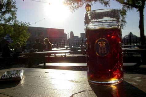 Free Stock Photo of Hoffbrau - beer | Download Free Images and Free ...