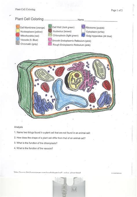 Animal Cell Coloring Pdf Answer Key 6
