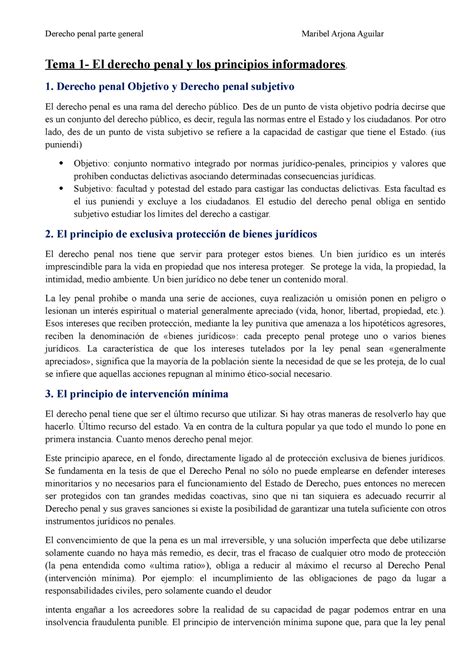 Tema 1 Apuntes 1 Tema 1 El Derecho Penal Y Los Principios