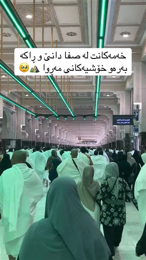 sfa bro khshykany moa aamr tiktok