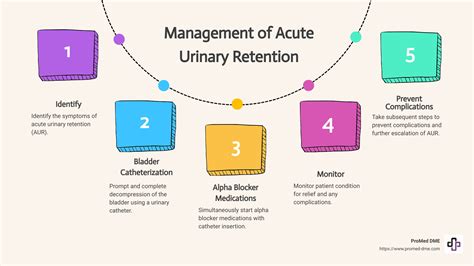 Effective Strategies For Acute Retention Of Urine Management