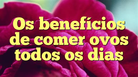 Os benefícios de comer ovos todos os dias