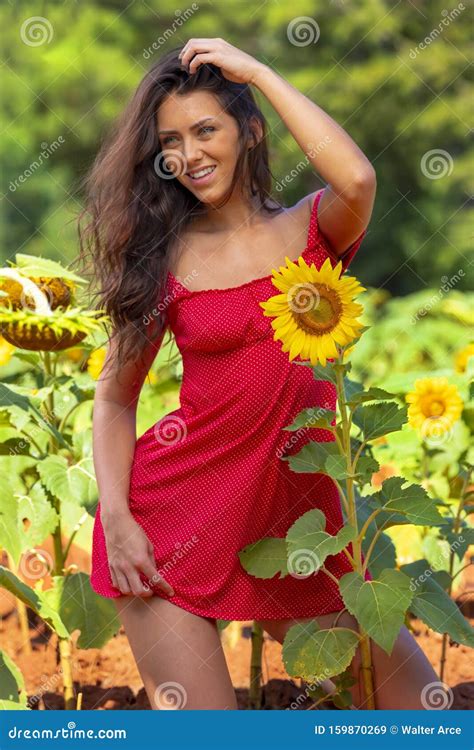 Lovely Green Eyed Brunette Model Posing In A Field Of Flowers Stock Image Image Of Happy