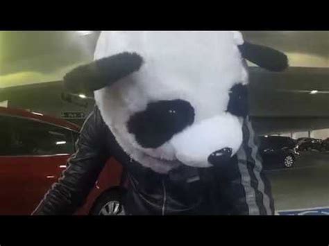 Moto Loot Panda Helmet cover!! Yamaha R1 - YouTube