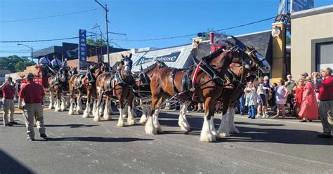 Sea Of People Chevy Chase Inn Turns 90 With Help From Budweiser