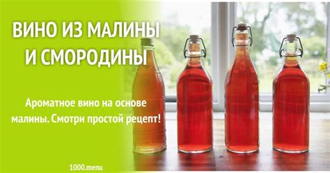 Вино из малины и смородины рецепт с фото | Рецепт | Вино, Малина, Рецепты