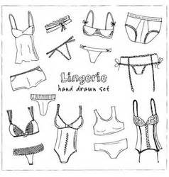 Collection Of Lingerie Panty And Bra Set Vector Image