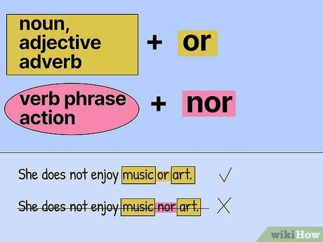 How to Use Nor in a Sentence (With Examples)
