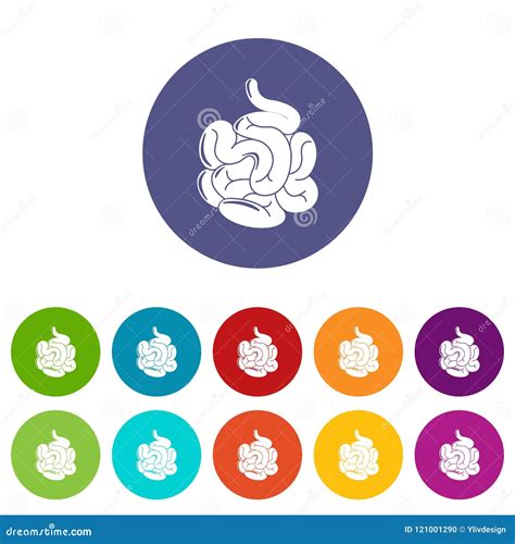 Small Intestine Icons Set Vector Color Stock Vector Illustration Of