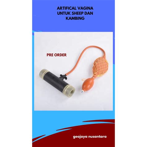 Jual Artifical Vagina Untuk Sheep Dan Kambing Shopee Indonesia