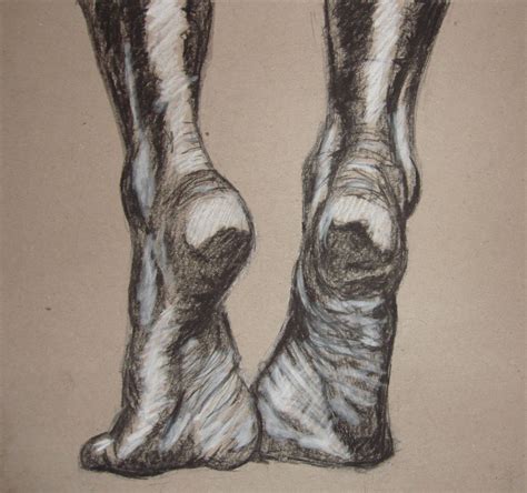 Feet Drawing Charcoal
