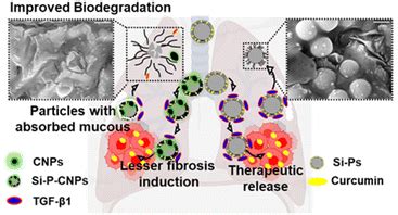 In Situ Carbonization Metamorphoses Porous Silica Particles Into