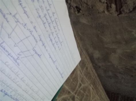 Qual A Importancia Dos Decompositores Na Cadeia Alimentar