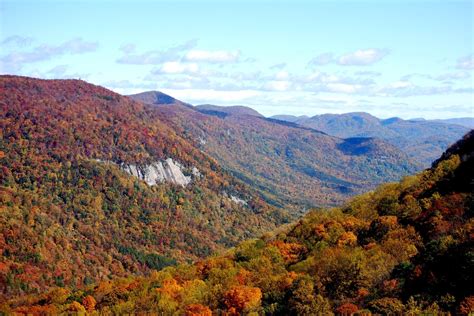 South Carolina Fall Foliage 2025 - Rove.me