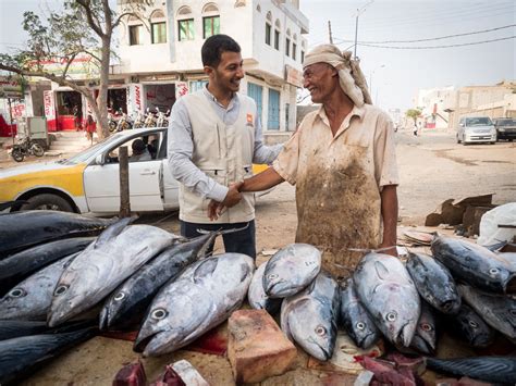In Pictures: Treasuring Yemen’s Incredible Fisheries Sector - Scoop Empire