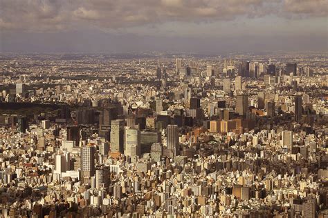 Tokyo Hot RijnWeb SEO Specialist