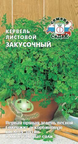 Семена: Семена пряных культур - интернет-магазин СеДеК