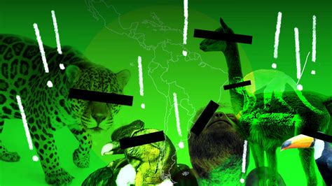 América Latina la más biodiversa y la más amenazada Infobae