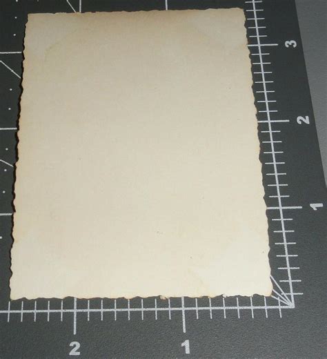 Shirtless Beefcake Sailor Tattoo Muscle Man Wwii Vintage Gay Int Snapshot Photo