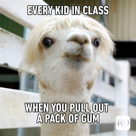 llamar memes
