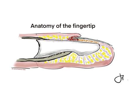 diagrams  doctors  patients