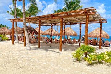Chankanaab Park Premium Day Pass with Open Bar and Lunch 2024 - Cozumel