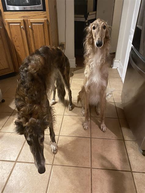 10000 Best Noodles Images On Pholder Noodlebones Forbiddensnacks And Food Porn