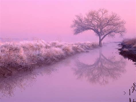 Pink Wallpaper for Computer (65+ pictures) - WallpaperSet