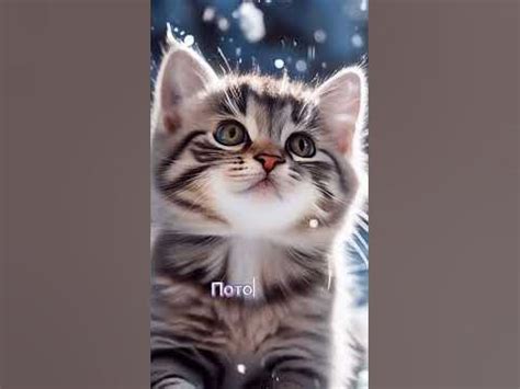 Четверг лучше чем воскресенье!!!😺 - YouTube