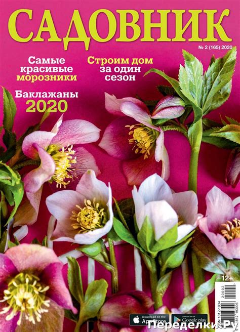 Садовник № 2 2020 * Переделки.РуПеределки.Ру