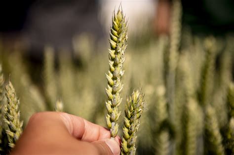 Tech critics are debating the new wheet privacy policy updates 2