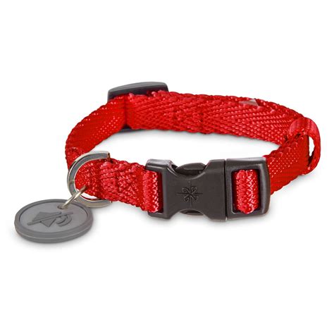 Good2go Adjustable Red Nylon Dog Collar Petco Store