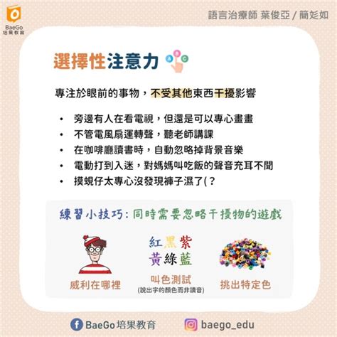 關於注意力的眉眉角角｜培果教育 媽咪拜mamibuy