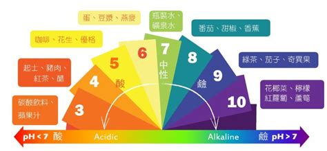 固體的酸鹼度 科學月刊science Monthly