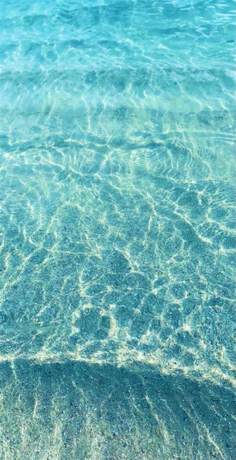 Tropical Paradise Wallpaper