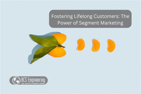 Fostering Lifelong Customers: The Power of Segment Marketing - BCS ...
