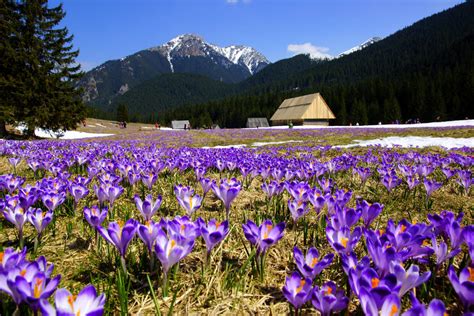 Tatrza Ski Park Narodowy