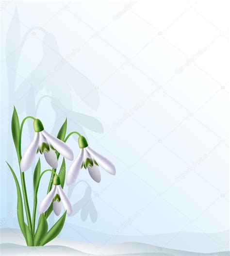 Text background with snowdrops Stock Vector Image by ©Helioshammer ...