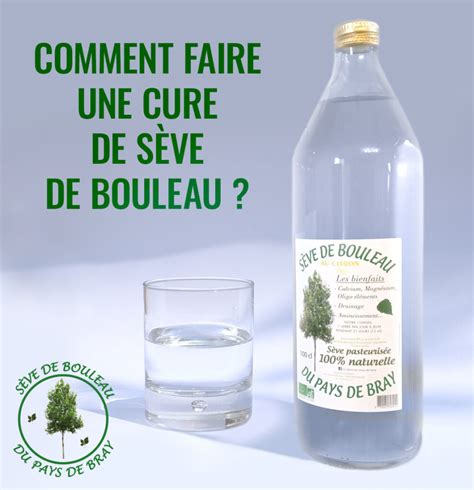 La Cure De S Ve De Bouleau S Ve De Bouleau Du Pays De Bray